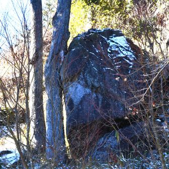 押し合いだ
ガチンコ勝負　どっち勝つ？