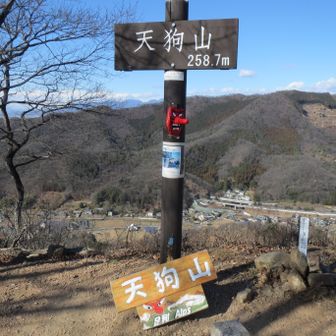 天狗山山頂