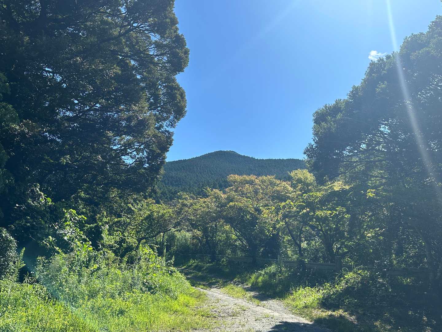 頂上見えた👀