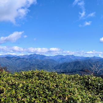 凄いぐるっと見えてます🤩
