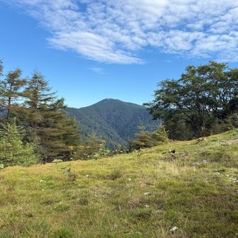 七ツ石山山頂から見える雲取山避難小屋。これからあそこまで行きますが、ここまで来ればもう登ったも同然だ！😤