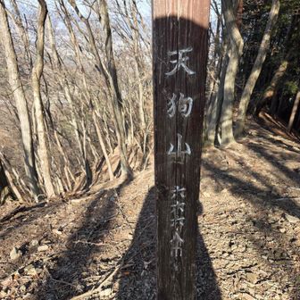 天狗山、山頂～👺
群馬百名山68座目です✨✨
ちなみに麓の道標には「お」がついて「お天狗山」と書かれていました。