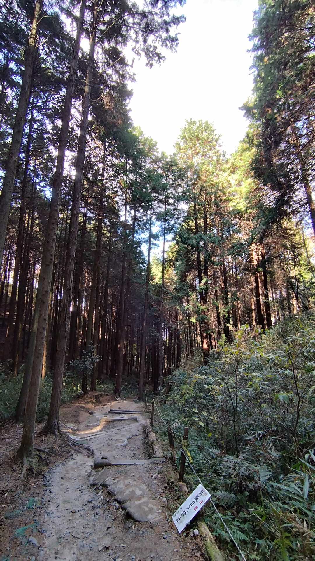 国見山登山口-国見山 往復コースの写真