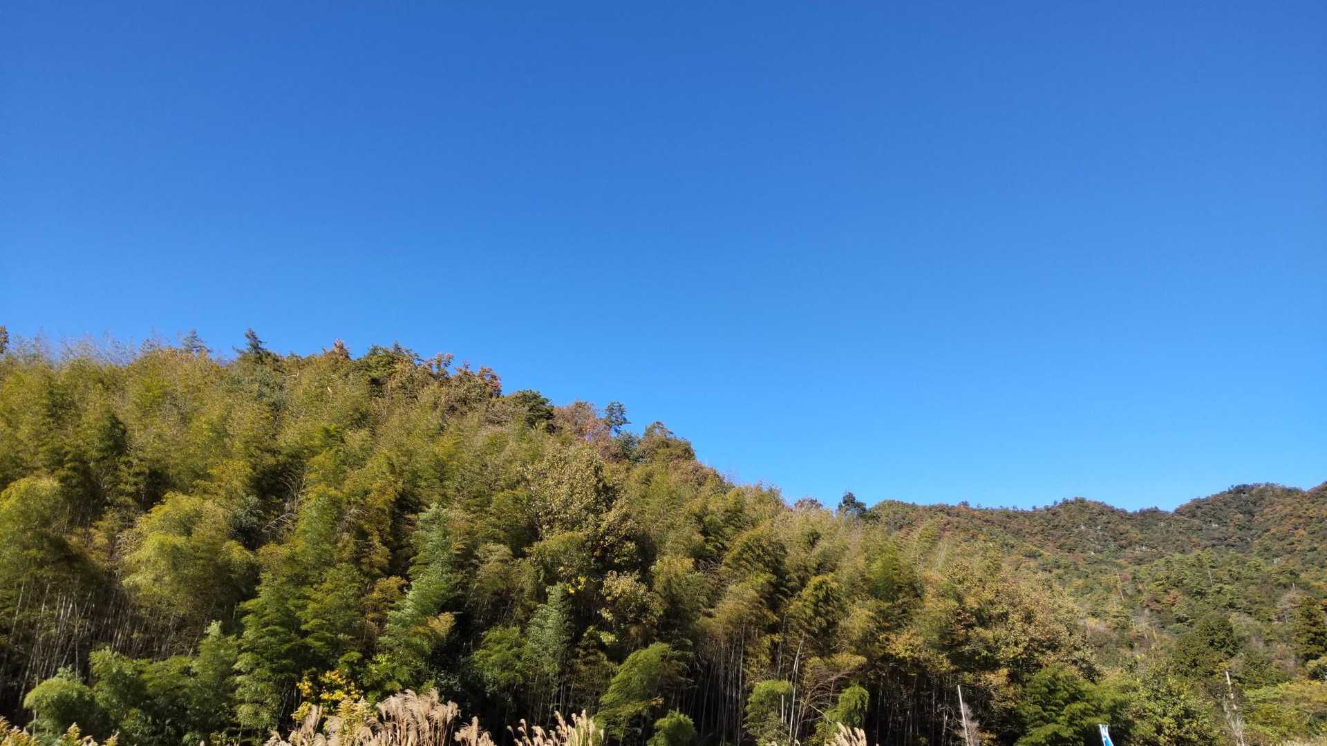 青空が綺麗です‼️