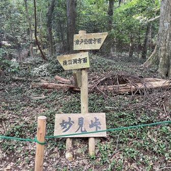 いつもの妙見峠に戻りました〜