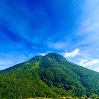 ここから見る由布岳が好き
ガスもはれてる