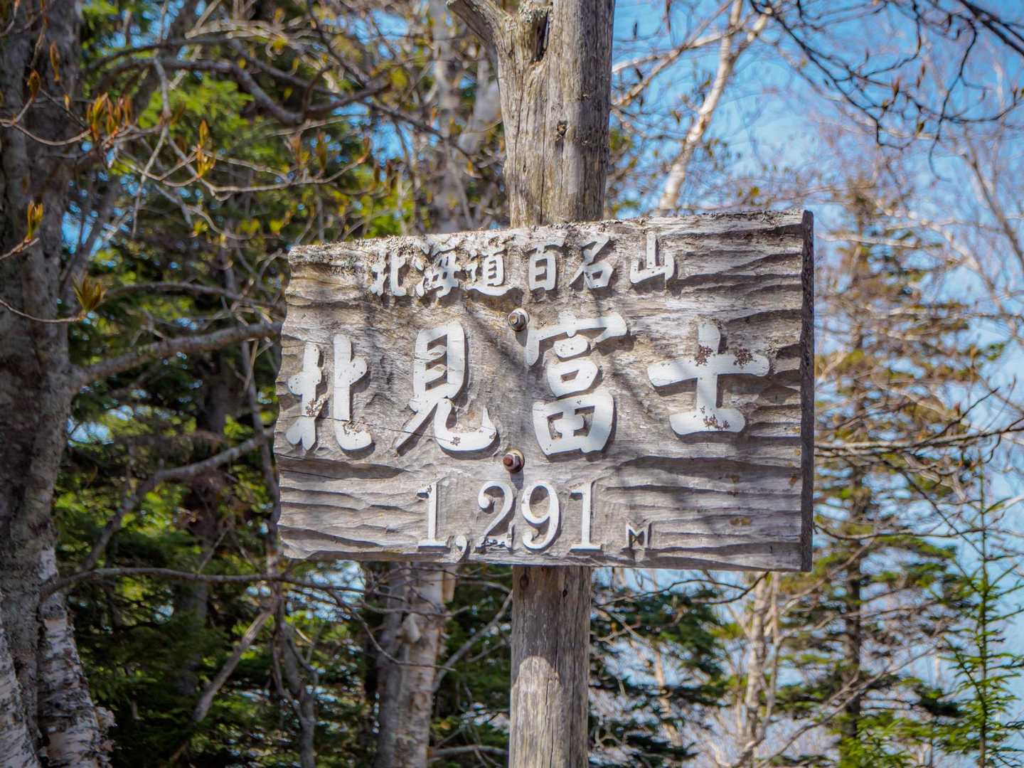 着いた‼️🙌　わかっちゃいたけど、木で周りの景色見えません🤣