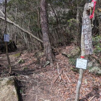 ここから登るのは初めて