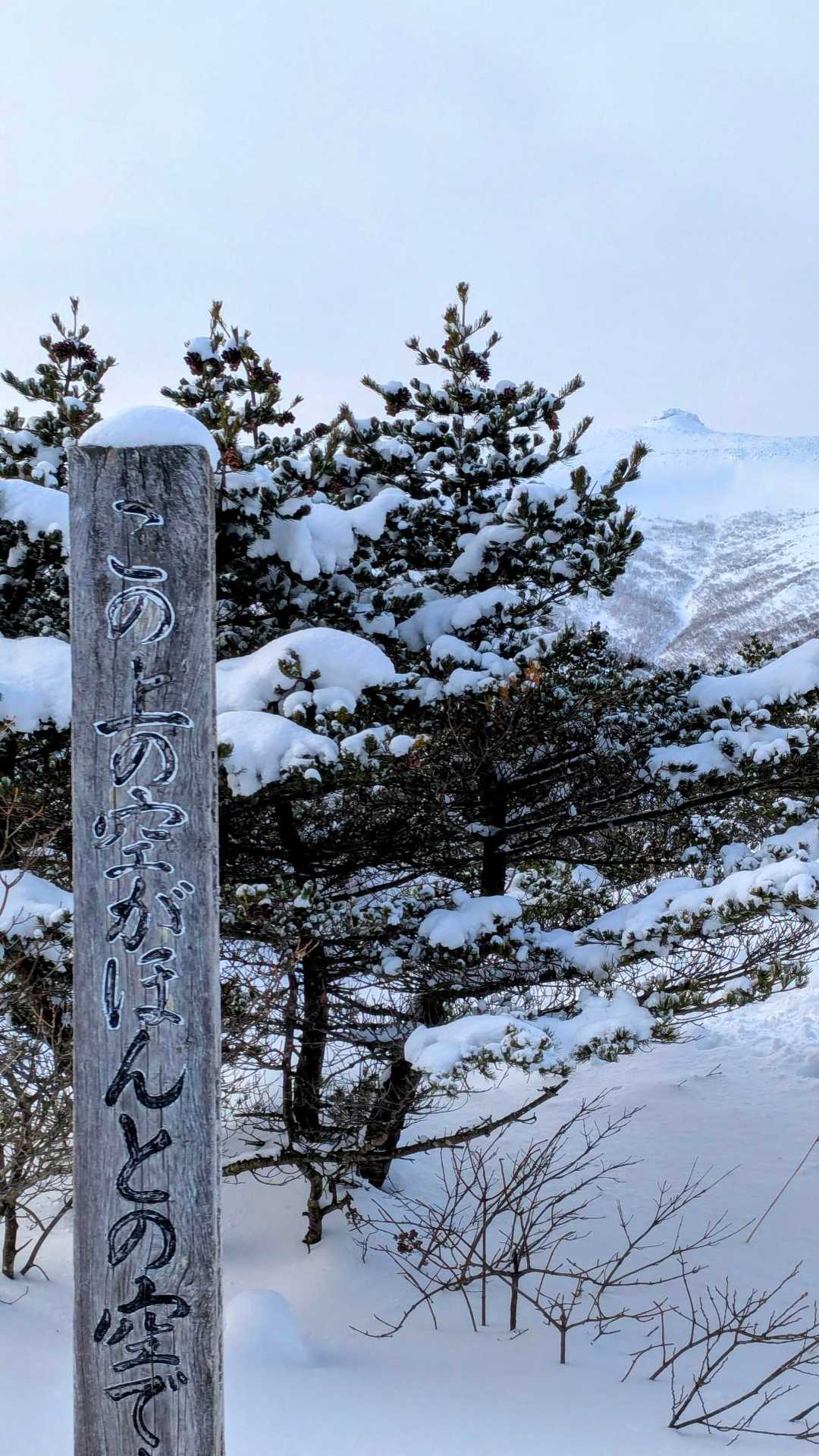 奥岳-薬師岳-安達太良山 往復コースの写真