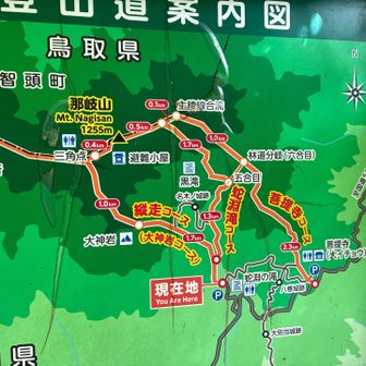 大神岩コースで登り蛇淵滝コースで降りてきた