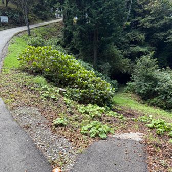 分かりづらい降り口