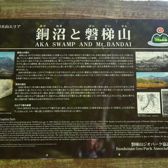 銅沼(あかぬま)の展望所に到着