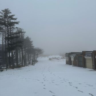 雪はもう止んでいるけど、まだ天気はあまり良くないにゃ。寂しい雰囲気にゃ
