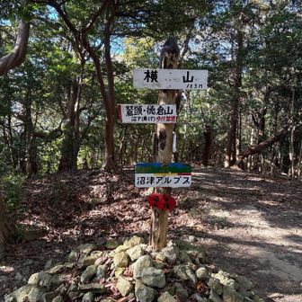 横山です。後少しっす。流石に疲れてきた。