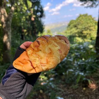 朝ごはん？おやつ？お昼？
美味しかった😋