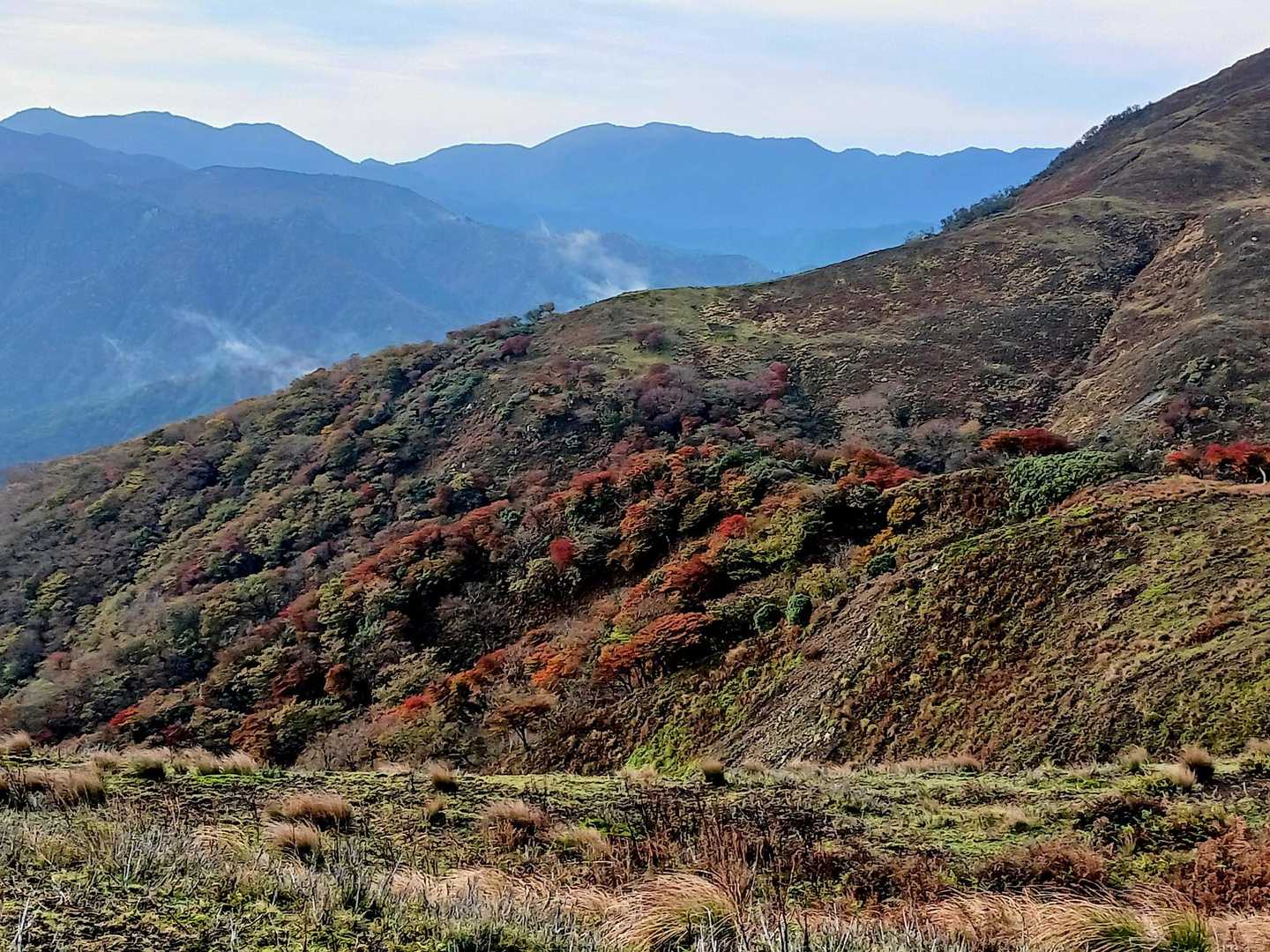 山腹の🍁
