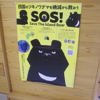 本州のように増えてきて人間との共存が難しくならないように上手く棲み分け増えてくれればいいですね。