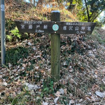 唐沢山へ向かいます