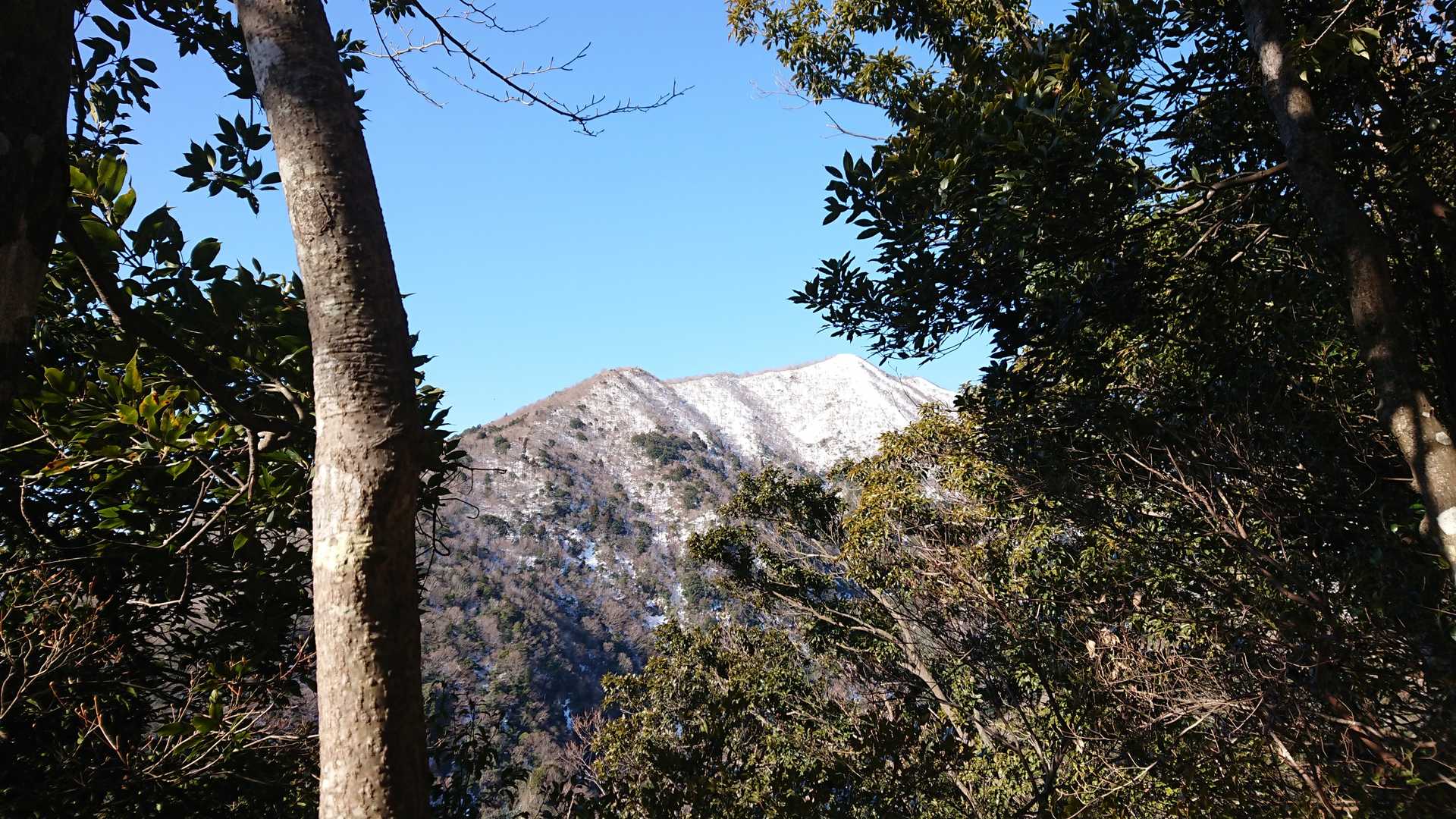 ヤケオ山❗白っ💦