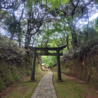 いつ来ても、いい感じの参道
