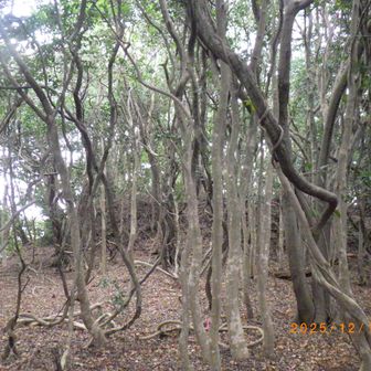 あたりまえにあたりまえの道をもどることにした。