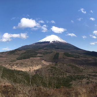 ビートルマニア