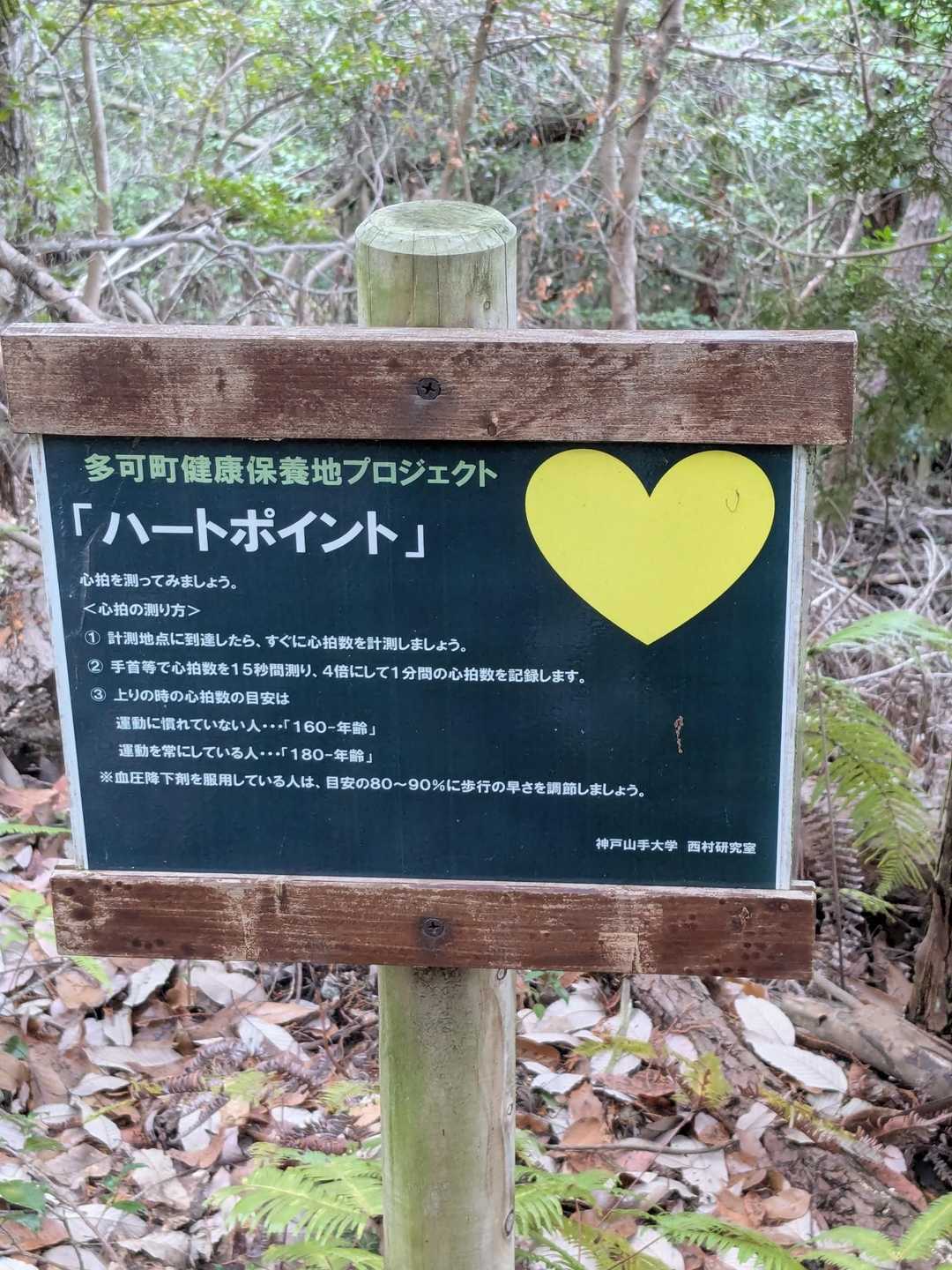 今回は心臓🫀パクパクしてません😁