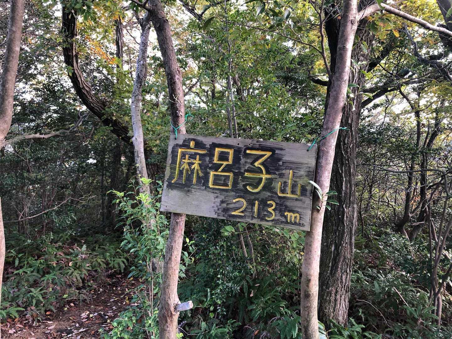 麻呂子山213M⛰️頂上