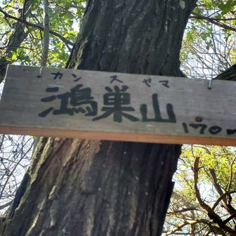 　　　　⛰️鴻巣山　170m