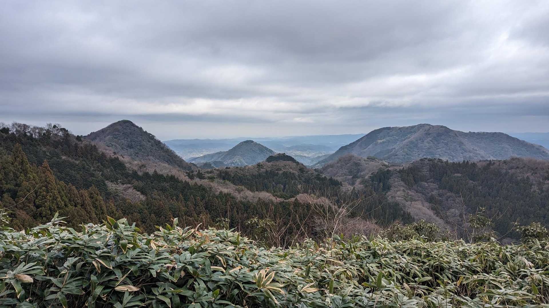 矢滝城山 往復コースの写真