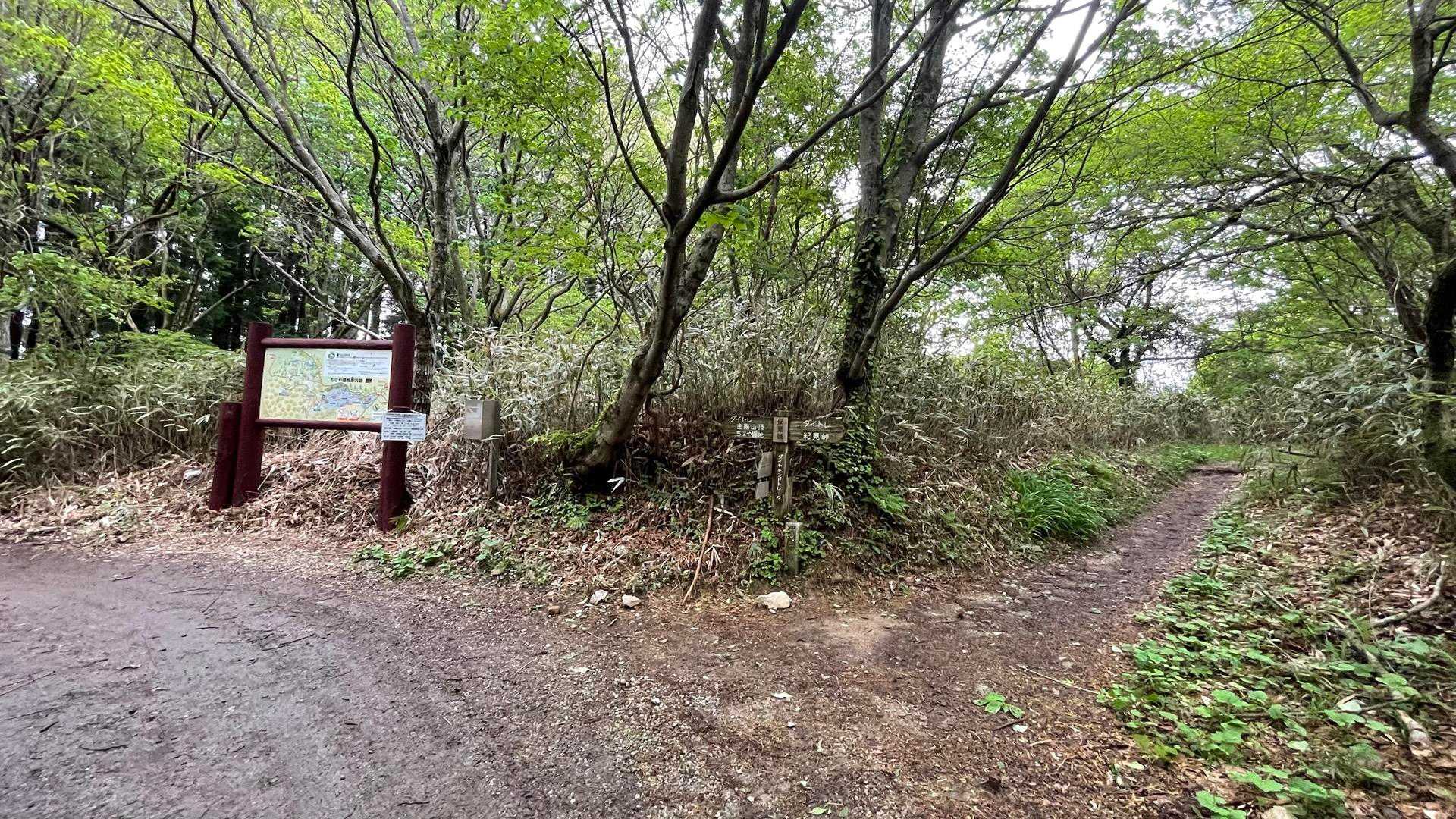 伏見峠😨