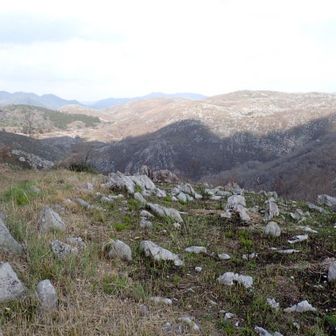 北側、桂木山が遠く👀