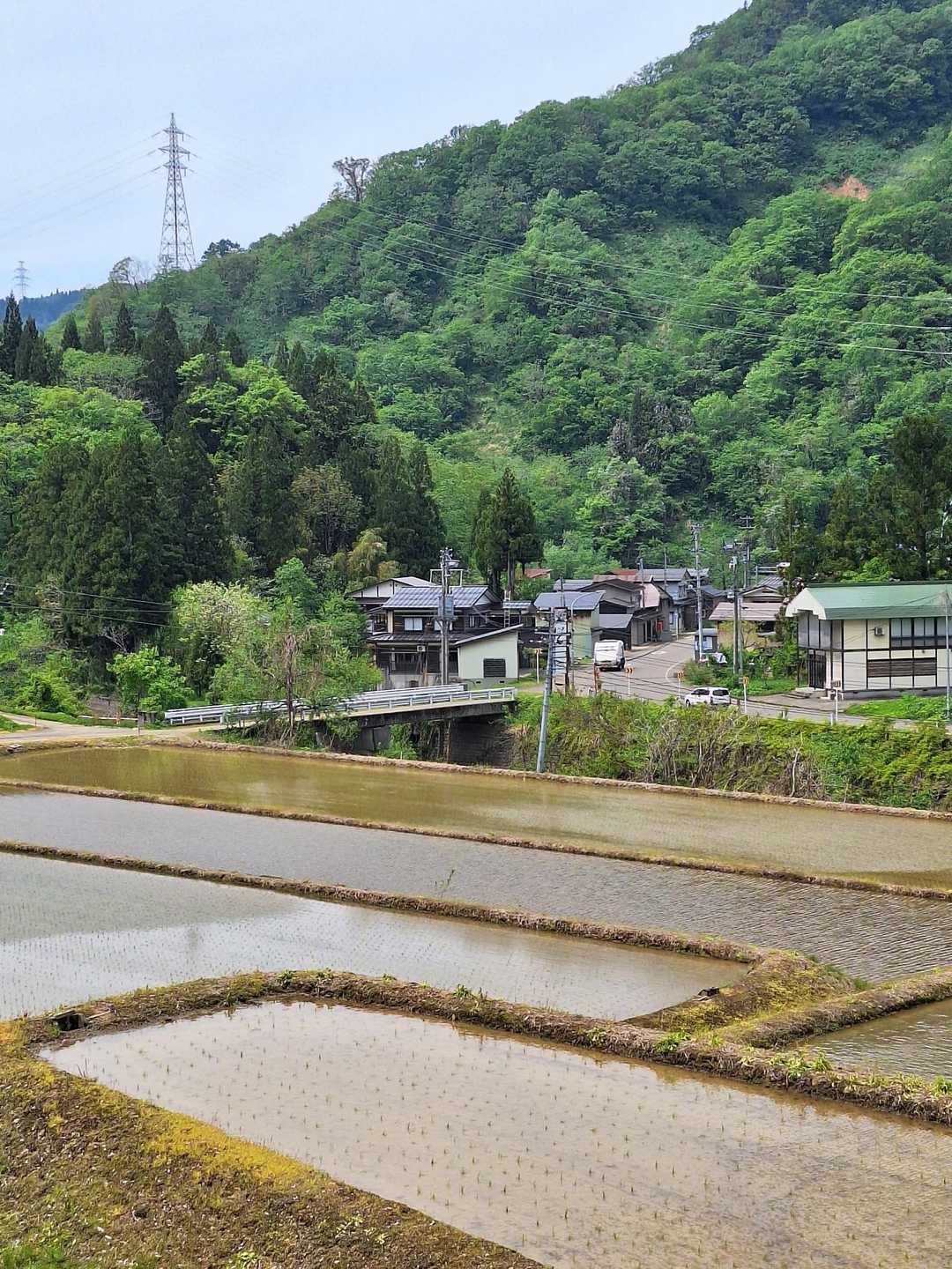 小谷島口が見えて来ました