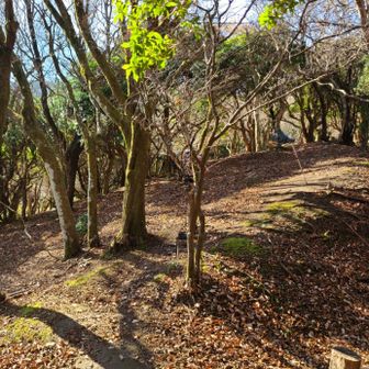 先に、右折して、霊山南峰へ→