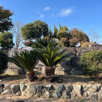 次は車で移動し童子公園へ🚗