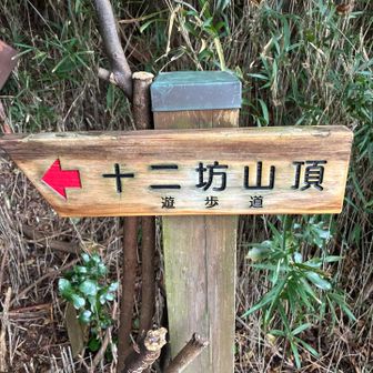 改めて十二坊へ行きます