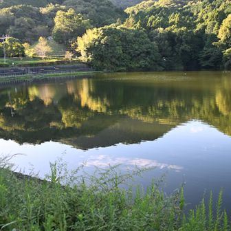 大池と二上山、下山時