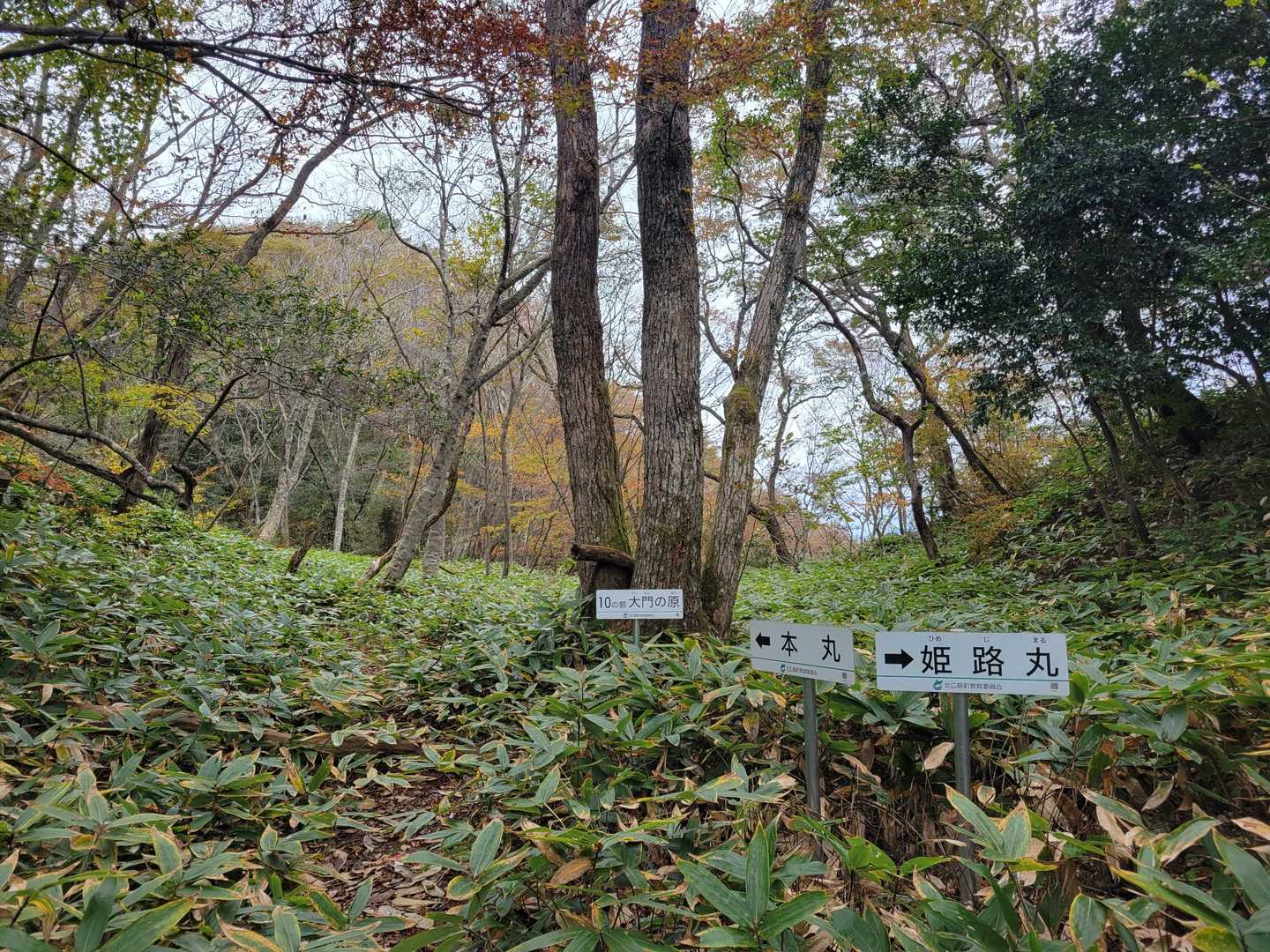 大門の原