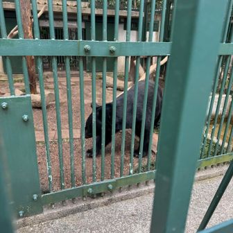 とよくんいたぁぁあ！