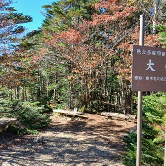 午前の部終了！
国師ヶ岳に備えて休憩☕😌