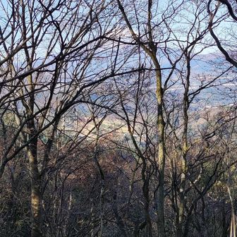 頂上の平な部分から富士山が見えます。

ここからは、山伏平まで、ずっと右側に富士山を見ながらの移動でした。ただ、冬でも木々があって綺麗に見えない…。