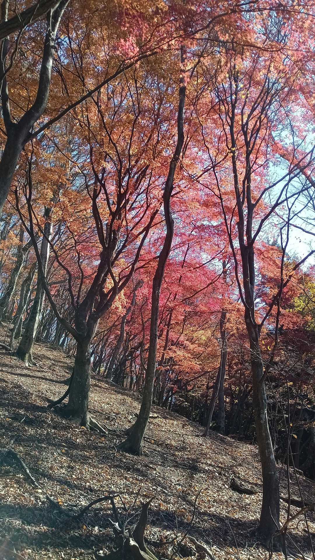 最後の方も