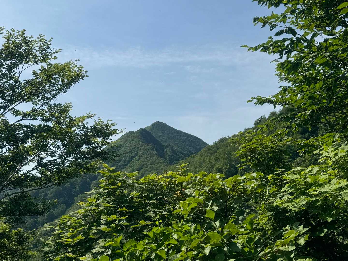 ようやく今日登る雁戸山を確認⛰️
トンガってるなーかっこいい！