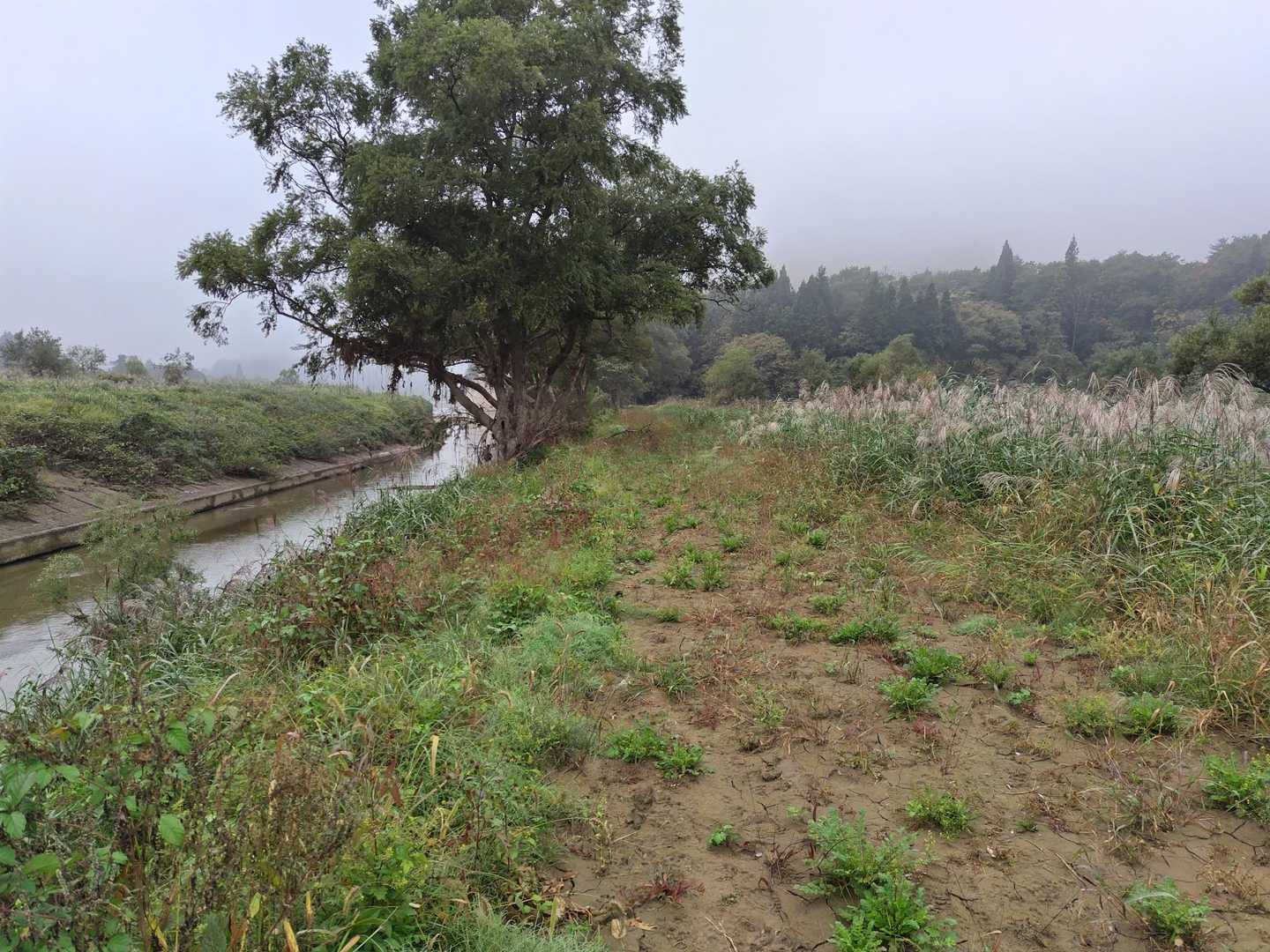 登山口に向かって川沿いを歩きます