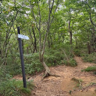 左は五ケ峠
ここは直進