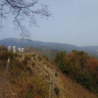 ノボリが見えた〜♪😆