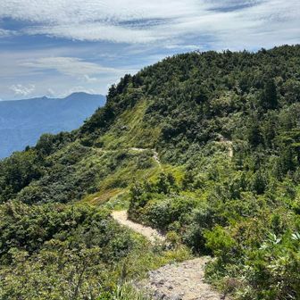 展望台から三方岩岳山頂への分岐付近。
向かって左へ巻いている道は白川郷へ降りていくルート。右奥にちょっとだけ見える道が三方岩岳山頂へのルート。
分岐の道標が腐食して倒れていました。この分岐、間違えそうです。
