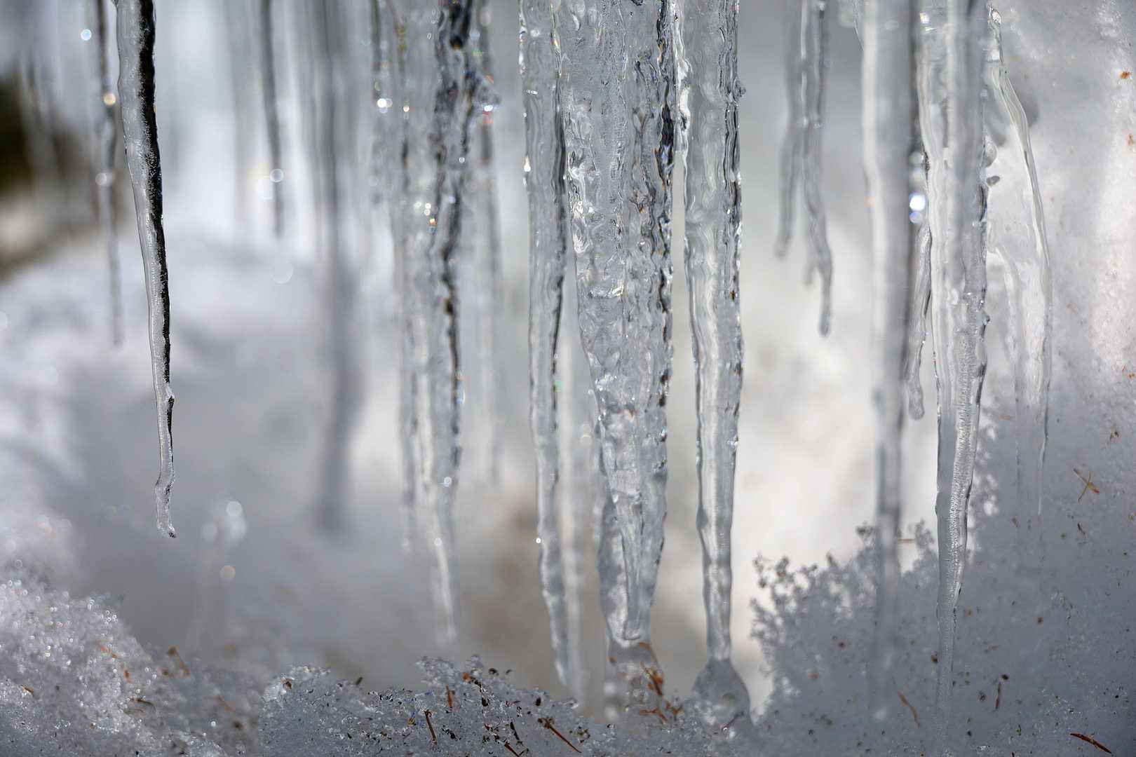 雪解け進む春。沢山のつらら。
