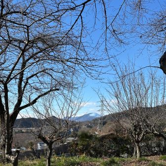 遠くの山から煙が立っています