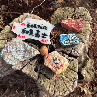 思わず撮ってしまう📷